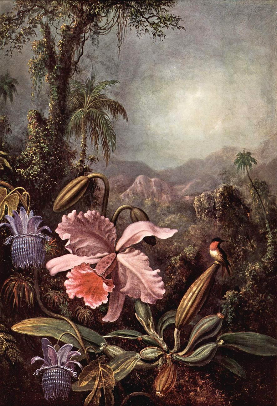 Martin Johnson Heade Orchids passion flower and hummingbirds